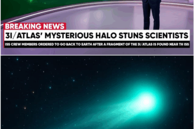 The Day the Universe Blinked Back: The Unexplainable Green Flash of 3I/ATLAS