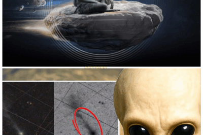 “🚨AVI LOEB BREAKS SILENCE: ‘3I/ATLAS MAY BE AN ALIEN SPACECRAFT!’ – NEW IMAGES IGNITE GALACTIC FEAR🛸” Harvard astrophysicist Avi Loeb stunned the world this week when he interpreted newly‑released imagery of 3I/ATLAS as potential evidence of alien engineering—jets aligned like thrusters, an orbit too precise to be random—and insists this interstellar traveller could be anything but a typical comet.👇