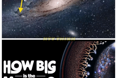 “🪐THE BIGGEST LIE IN COSMOLOGY: THE UNIVERSE DOESN’T JUST EXPAND—IT MULTIPLIES🌌😱” Every telescope update brings a new horror: galaxies where none should exist, echoes of universes overlapping ours like reflections in shattered glass. What if we’re not looking outward, but sideways—into other versions of existence bleeding through?👇