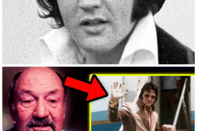 🐘 Elvis Presley’s Final Descent: Personal Pilot Drops Bombshell About The King’s Last Flight—Shocking Meltdowns, Secret Rendezvous, And The Emotional Collapse That Ended An Era 🎭 In a bombshell confession, Elvis’s pilot exposes shocking meltdowns and secret rendezvous that led to the emotional collapse of a legend—ending an era with more drama than anyone ever knew. “The King’s last flight wasn’t just his final journey—it was a flight into the unknown.” 👇