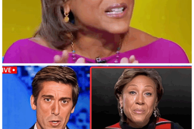 🐘 At 65, Robin Roberts Faces Heartbreaking Tragedies with Unyielding Strength! 🔥 “In the face of adversity, her spirit shines brighter.” The story of Robin Roberts at 65 is one of both heartbreak and resilience. As she shares her experiences with loss and hardship, what messages of hope and perseverance does she impart? Join us for an in-depth look at her incredible journey. 👇