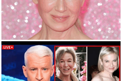 🐘 Fans Are Heartbroken: Renée Zellweger’s Life at 56 Takes a Devastating Turn! 💔 “In the world of Hollywood, the brightest stars often face the darkest moments.” Renée Zellweger, beloved for her unforgettable performances in films like Bridget Jones’s Diary and Cold Mountain, has recently faced a series of heartbreaking challenges that have left her fans reeling. At 56, her life has taken a devastating turn, revealing the struggles behind her glamorous facade and reminding us all of the fragility of fame and happiness.