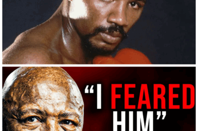 🐘 “Marvin Hagler Reveals His Fears: The 5 Boxers That Kept Him Up at Night! 😱” – In a candid interview, the legendary Marvelous Marvin Hagler opens up about the five boxers he feared the most during his illustrious career! “Who could possibly intimidate a champion like Hagler?” fans wonder, as he shares insights into the minds of these formidable opponents. Get ready for some surprising revelations! 👇
