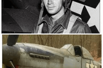 Fighter Pilot Vanished in 1943 — 60 Years Later, His Rusted Plane Was Found in a Forest…