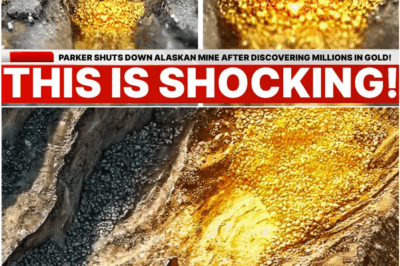 Parker Schnabel Stuns Gold Rush Fans by Shutting Down Mine After Pulling $14 Million in Gold!