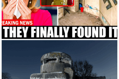 Here’s What They Found In This Hidden WW2 Nazi Bunker, And It’s TERRIFYING