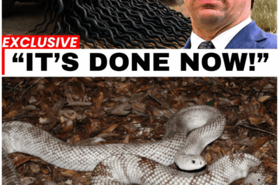😱 Florida Was Mocked For Releasing HUNDREDS of Rare Snake Killers. Then THIS Happened 😱 – HTT
