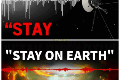 “👽VOYAGER 1’S UNEXPLAINED SIGNAL: WHAT IT SAID MAY CHANGE EVERYTHING WE KNOW ABOUT LIFE IN THE UNIVERSE💥” After decades in the void, Voyager 1 sent back a signal that puzzled even veteran mission engineers: a sequence of 101010, followed by long pauses, then a pattern that mirrored the shape of a human skeleton. Whether glitch or message, NASA refuses to say. But scientists say: “We heard something alive.”👇