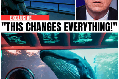 You Won’t Believe What Scientists Discovered About Whale Language Using AI: The Shocking Truth That Will Change Everything! 🐋🤖
