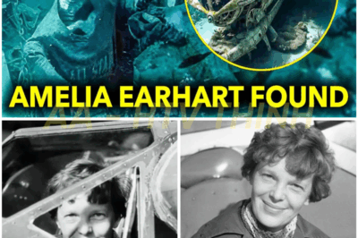 🚨 😱 87 Years of Mystery DESTROYED: Investigators Announce the Discovery of Amelia Earhart’s Body — And It Raises TERRIFYING Questions.