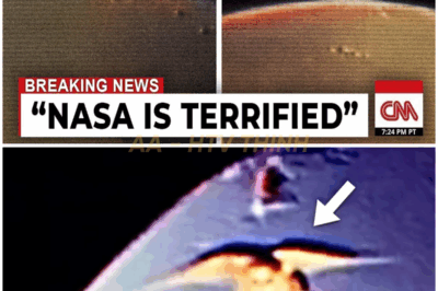 Elon Musk drops chilling warning