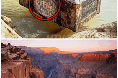🔥😱 What Scientists Just Discovered At The Grand Canyon TERRIFIES The Whole World