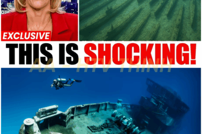 HUNDREDS of warships were found at the bottom of the sea…..What they FOUND inside will amaze you!