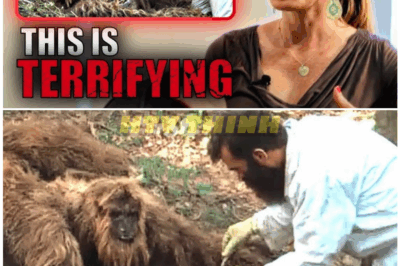 🦊 SHOCKING SECRETS LEAK: “Expedition Bigfoot” Season 5 SCRAPPED After NIGHTMARE Encounter in the Woods — Insiders Say “It Wasn’t Human” 🌲🩸