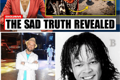 🌊 “Before the Music Stopped: Inside the Tragic Accident That Took Johnny Kemp’s Life 😢”