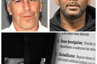 I Prosecuted R. Kelly. This Is Why the Epstein Files Should Be Redacted.