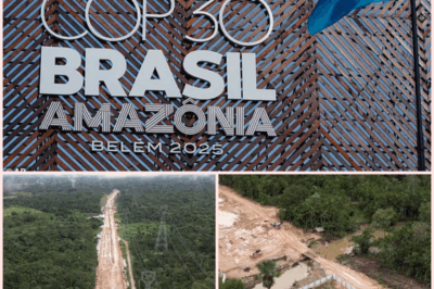 100,000 Ancient Trees Bulldozed for COP30 Climate Summit Highway While World Leaders Talk “Saving the Planet”