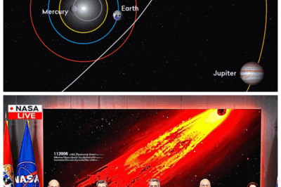 🐘 NASA’s Urgent Discovery: 3I/ATLAS Is Speeding Through Space—And It’s Not What We Thought 🌌⚡: In a startling turn of events, NASA has issued an emergency report: The mysterious 3I/ATLAS is accelerating faster than the infamous Oumuamua ever did, and no one knows why. Could this be a sign of something extraterrestrial? “The universe just threw us another curveball.” What they’ve uncovered is nothing short of terrifying. 👇
