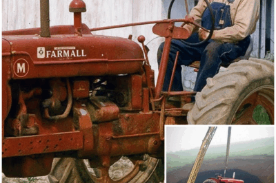 Farmer Vanished in 1996 – 15 Years Later, His Family Made a Shocking Discovery… – HTT