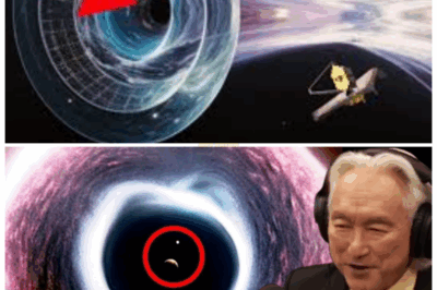 “💫THE FIRST GLIMPSE INTO HELL: BLACK HOLE INTERIOR REVEALED AFTER 27 YEARS OF DENIAL🔥😱” Using quantum-tuned telescopes, astronomers reconstructed the first ever image from inside a black hole—and what they found looks more biological than cosmic. Filaments twist like neurons, light pulses like breath. One scientist said, “We didn’t find space—we found structure.”👇