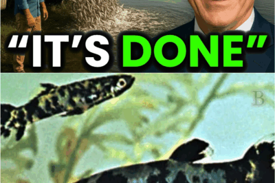 🌊 “Mocked and Ridiculed: Texas’ Bizarre Mosquitofish Experiment Just Produced Results That Left Scientists Speechless 💥”