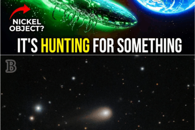 “NASA Issues Terrifying Warnings After Mysterious Signal From 3I/ATLAS Near Earth”