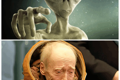 “🚨THE 2345 TIME TRAVELER WHO SAID ‘DON’T LOOK OUTSIDE TONIGHT’—AND VANISHED AFTER LEAVING A DATE IN BLOOD⚠️😨” He appeared on a highway overpass, shaking uncontrollably, warning that something from his century starts leaking into ours at midnight. Before authorities arrived, he carved a single future date into the pavement—one that’s approaching faster than anyone wants to admit.👇