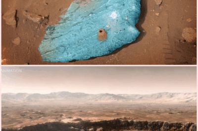 NASA’s Shocking Discovery: Are We Finally on the Brink of Proving Life Exists on Mars?