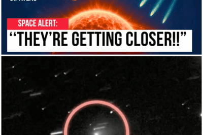 😱 A Swarm of Comets is Racing into the Inner Solar System with 3I/Atlas 😱 – HTT