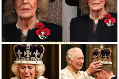 👑 “King Charles Shockingly Strips Queen Camilla of Her Royal Title—And Hands the Throne Over to William in a Bold Move! 😱💥” In a move that’s sending shockwaves through the monarchy, King Charles has officially stripped Queen Camilla of her royal title and handed the throne to Prince William. The royal family is reeling, and no one is sure what to make of this sudden power shift. What’s behind Charles’ decision, and what does it mean for the future of the British monarchy? This unexpected move will rewrite royal history and leave the world questioning who really holds the power behind the palace doors. 👇