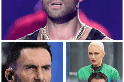 🐘 Adam Levine SHOCKS Fans with His Verdict on Blake & Gwen’s Relationship Crisis! 💔 “Sometimes, the truth hits harder than expected!” Adam Levine has shared his surprising opinions on the challenges facing Blake Shelton and Gwen Stefani, stirring up conversation among fans. What insights did he provide that have left everyone questioning the couple’s status? Explore the details! 👇