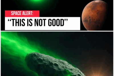 😱 The Terrifying Transformation of 3I/Atlas: Is It More Than Just a Comet? 😱 – HTT