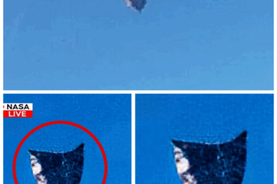 James Webb Telescope Reveals SHOCKING Cosmic Mystery That Changes EVERYTHING — Alien Life? Time Travel? 😱 Hold onto your seat, because the James Webb Space Telescope has just dropped a bombshell that no one was expecting! What scientists are calling “impossible” could rewrite everything we thought we knew about the universe. Is this proof of alien life? Could time travel actually be possible? The discovery is so mind-bending that it’s sending shockwaves through the scientific community. Get ready for a reality that will leave you questioning everything. 👇