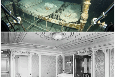 🌊 Titanic’s First-Class Suites Exposed! The Eerie Secrets Behind the Locked Doors of 1912 That Historians Don’t Want You to Know! 😱