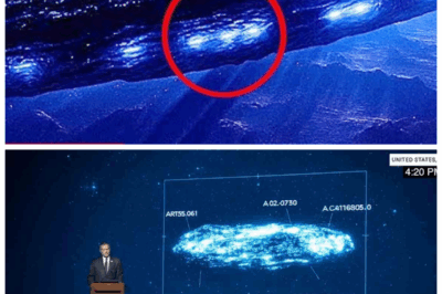 “🚨Quantum AI Exposes the 3I/ATLAS Horror: Data From the James Webb Space Telescope Shows We’re Doomed” The cosmic bomb just dropped — Quantum AI dug through Webb‑data on 3I/ATLAS and uncovered a chilling truth: this interstellar visitor isn’t what it seems, and our planet may be far more vulnerable than ever imagined. The numbers? Unfathomable. The origin? Alien. The fear? Very real. Step aside sci‑nerd caution: this one’s for your nightmares.👇