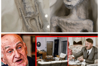 EXCLUSIVE: Alec Newald’s SHOCKING Alien Abduction Story—He Claims to Have Proof That Will Leave You Stunned 👽 Alec Newald’s incredible tale of being abducted by aliens for 10 days will have you questioning everything you thought you knew about extraterrestrial life. For the first time ever, Newald is revealing the proof that could change everything. Was he truly taken by aliens, or is there a far darker truth behind his claims? Get ready for a mind-bending story that will make you rethink reality itself!👇