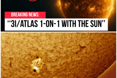 😱 As 3I/Atlas Approaches, Is Our Understanding of Comets About to Be Rewritten? 😱 – HTT