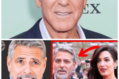 🐘 The Clooney Crisis: How Amal’s Ambition And Fame Drove George To The Edge 🚨 At 64, Clooney reveals the suffocating horrors of living with a powerhouse—Amal’s ambition and relentless drive have pushed him to breaking point, sparking drama that no tabloid dared to print. “Looks like the real Oscar goes to surviving marriage.” 👇