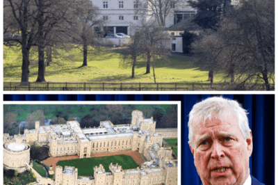 🐘 Windsor’s Scandalous Spectacle: Andrew’s Humiliation Goes Public—Unexpected Blow, Vicious Rivalries, And The Royal Meltdown That Has Insiders Panicking 🎭 The spectacle at Windsor Castle is more dramatic than any soap opera—Andrew’s humiliation is front-page news after an unexpected blow, fueling vicious rivalries and a royal meltdown that has insiders scrambling for damage control. “The crown’s heaviest weight is shame.” 👇
