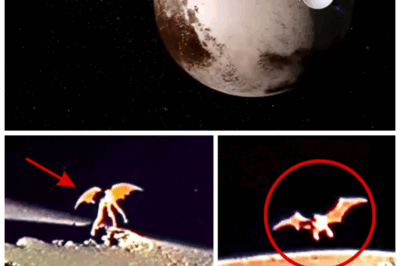 🐘 “James Webb Telescope FINALLY DISCOVERS What NASA Was Hiding on Pluto—This Changes Everything!” 💥🌌 “In a groundbreaking discovery that NASA was desperately trying to keep under wraps, the James Webb Telescope has revealed something startling on Pluto. For years, scientists kept quiet about what was really happening out there in the farthest reaches of our solar system. Now, the truth has finally come to light—and it’s far more shocking than anyone could have imagined.”
