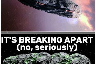🐘 “3I/ATLAS: The Mysterious Object That’s Not What We Hoped—The Shocking Truth Revealed!” 💣😱 “The excitement over 3I/ATLAS has quickly turned into frustration, as new data from NASA reveals the object is far less extraordinary than originally thought. What was once believed to be an interstellar marvel is now being questioned by scientists who say it’s just another rock in space. The truth? It’s not the cosmic wonder we expected.”