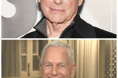 🐘NCIS WORLD SHAKEN💣 Mark Harmon Reveals the REAL Reason He Might Return — The Unfinished Business, the Hidden Promise & the Legacy He Admits “Means More Than People Think.” 🔎  Those familiar with Harmon’s past decisions say he’s wrestling with a secret storyline he once shelved, a personal vow he made to the cast, and growing pressure from fans demanding closure on Gibbs’ fate👇