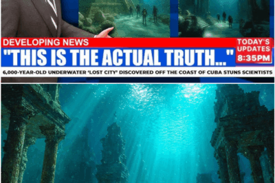 The Blue Signal in the Sky: Scientists Confront the Most Mysterious Interstellar Arrival Ever Detected