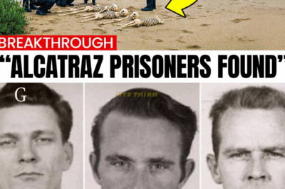 Diver Returns From Alcatraz Waters With a TERRIFYING Discovery — “They Tried to Keep This Buried Forever!