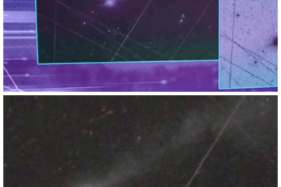 🐘 “New Images of 3I/ATLAS Reveal Shocking Anti-Tail—What Does This Mean for Our Understanding of Space?” 💥🌌 “In a discovery that has stunned the scientific world, new images of 3I/ATLAS show the presence of an anti-tail—a feature never before seen in an interstellar object. This unexpected anomaly has astronomers questioning everything they thought they knew about the behavior of space objects. Could 3I/ATLAS be far more complex than we imagined?”