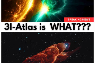 Scientists shocked! NASA Confirms What 3I/ATLAS Really Is
