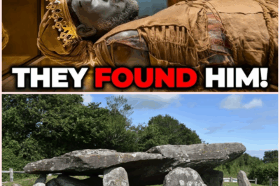 DNA Discovery in Welsh Cave: Has the Real King Arthur Been Found?