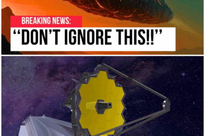 😱 The James Webb Telescope Just Uncovered a Secret That Could Change Everything! 😱 – HTT