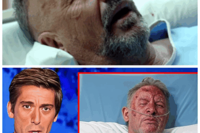 🐘 Kevin Costner’s Silent Sunset 🌅 The Hollywood Legend Faces His Most Painful Goodbye After Tragic Diagnosis — The Man Who Defined Strength Now Fights His Final Battle 👇 The cowboy rides no more. Insiders whisper that Costner’s voice trembled as he said his last words on set, staring into the horizon he once conquered. “He spent a lifetime saving others on screen — now he’s the one who needs saving.”👇