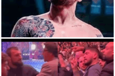 🐘 Dillon Danis Gets Into MASSIVE Altercation with Islam Makhachev’s Team at UFC 322 – The Shocking Moment That Almost Escalated Into a Full-Scale Brawl! 😱 Dillon Danis is once again at the center of chaos after a massive altercation with Islam Makhachev’s team at UFC 322. The tension between the two fighters has reached a boiling point, with tempers flaring in front of stunned fans. “Will this explosive encounter spill over into the octagon, or is this just the beginning of a heated rivalry?” 👇